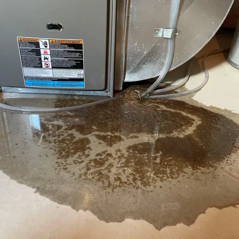 Appliance Leak Cleanup in Starksboro, VT